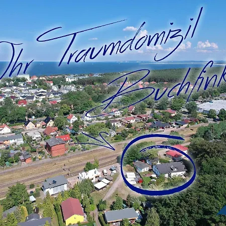 Buchfink * Heringsdorf (Usedom)